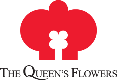 LOGO-QUEENS.png