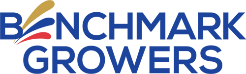 LOGOBENCHMRK2.png